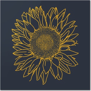 Sunflower Yellow Nature Line Drawing Posters and Art